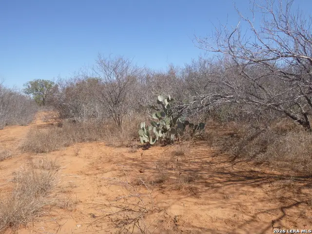 4253 E Fm 462, Moore, TX 78057 - #2