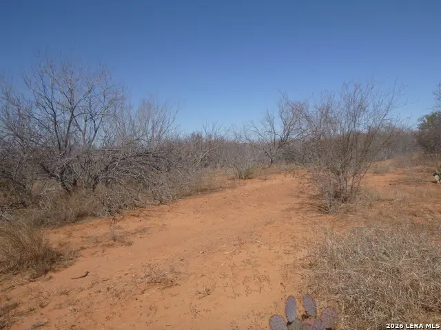 4253 E Fm 462, Moore, TX 78057 - #3