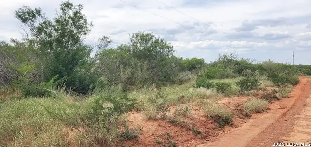 000 Carrol Rd, Cotulla, TX 78014 - #2