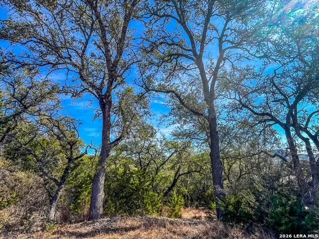 810 La Paloma, Canyon Lake, TX 78133 - #2