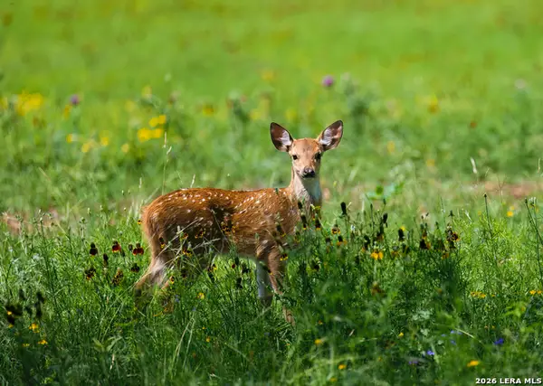 000 Clearwater Ranches 6, Comfort, TX 78013