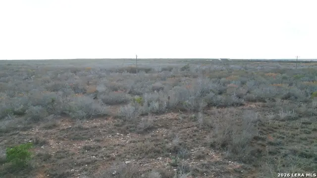 8993 County Road 101, San Diego, TX 78384 - #3