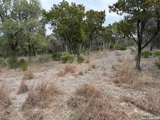 LOT 45 Pr 2775, Mico, TX 78056 - #3