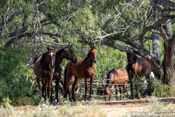 3285 Pittman Rd, St Hedwig, TX 78152