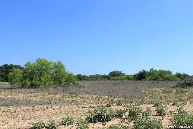 1163 W Fm 476, Somerset, TX 78069 - #2