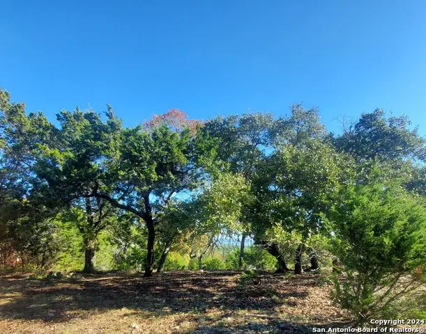 152 Mountainview, Canyon Lake, TX 78133 - #2