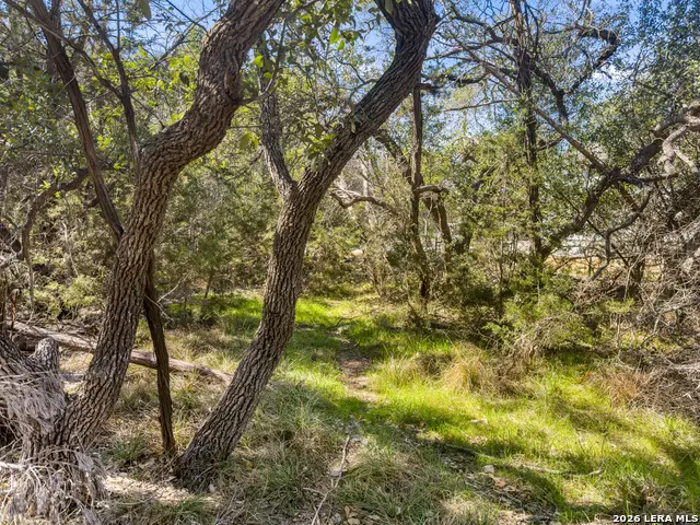 1738 Cave Drive, Spring Branch, TX 78070 - #3