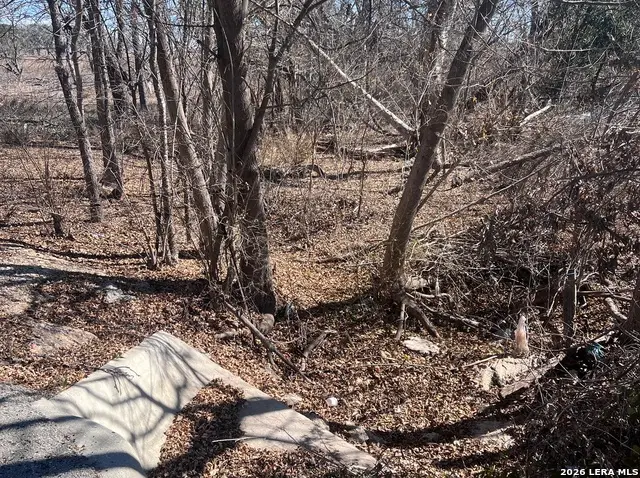 TBD Ess Rd, Atascosa, TX 78002 - #1