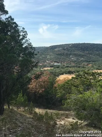 424 Sierra Vista, Tarpley, TX 78883 - #2