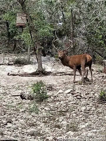 424 Sierra Vista, Tarpley, TX 78883 - #3