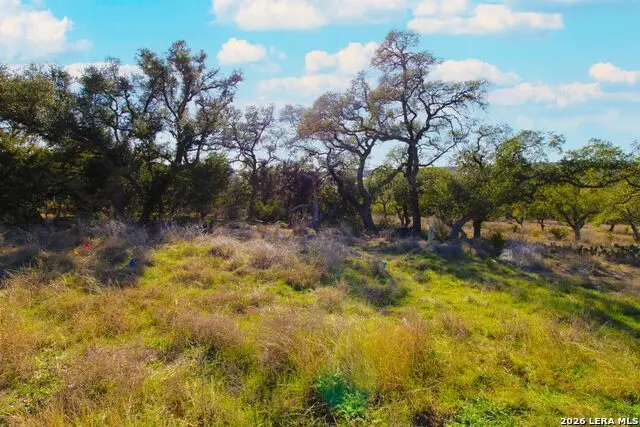 436 Cavy, New Braunfels, TX 78132 - #1