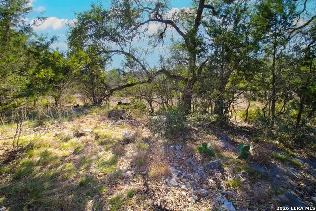 436 Cavy, New Braunfels, TX 78132 - #2