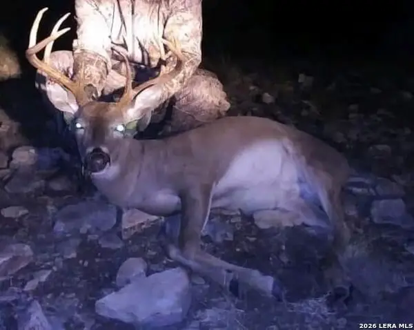 1213 Sd 42200, Rocksprings, TX 78880