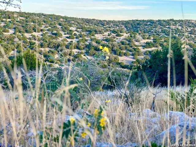 1213 Sd 42200, Rocksprings, TX 78880 - #2