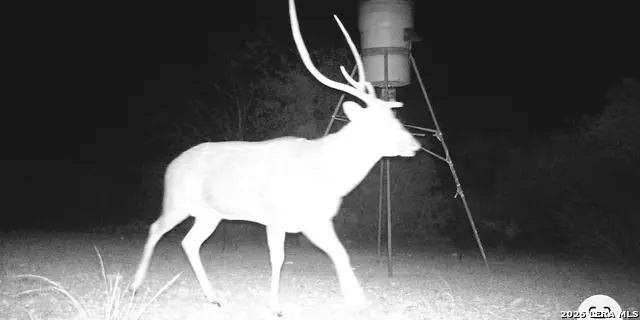 2197 Sd 45340, Rocksprings, TX 78880 - #1