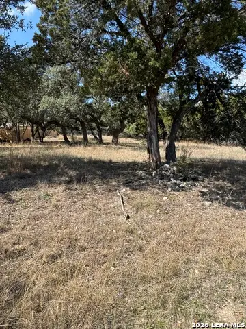 26317 Glenrose, San Antonio, TX 78260 - #3