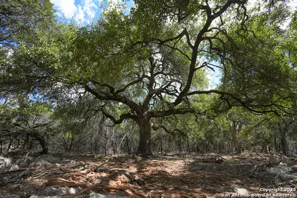 330 Rayner Ranch, Spring Branch, TX 78070