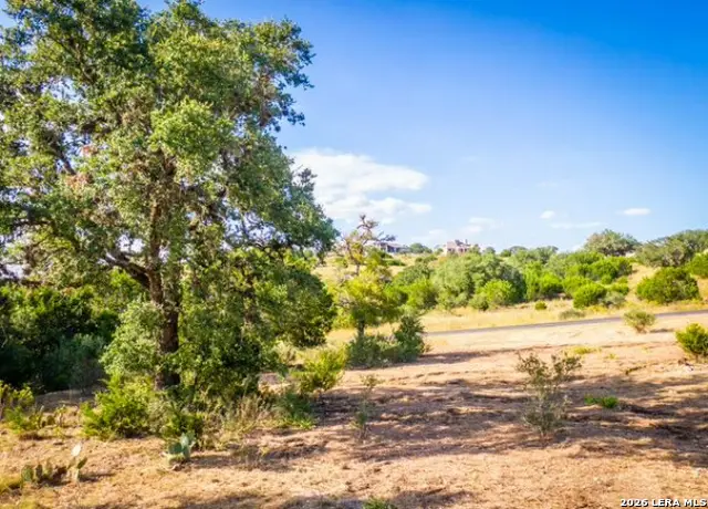 523 Rio Ridge Pkwy, Spring Branch, TX 78070 - #3