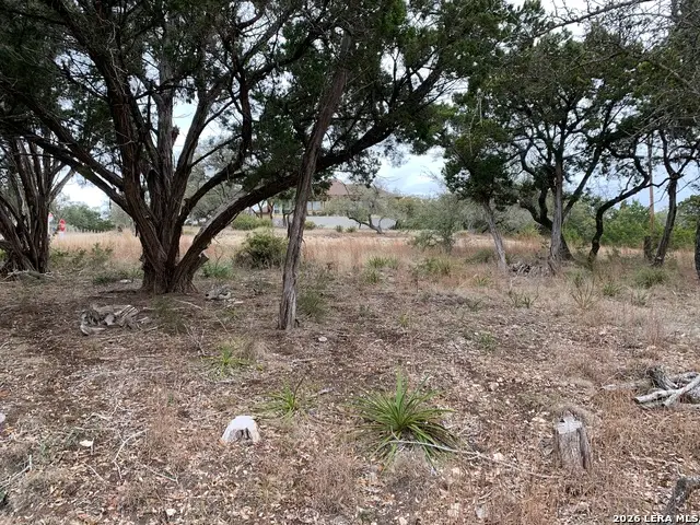 LOT 165 Tbd, Canyon Lake, TX 78133 - #3