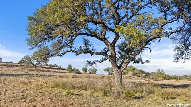 885 Stanton, Johnson City, TX 78636 - #1