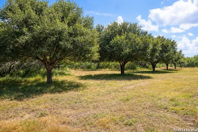 TBD Zinnia Road, Lyford, TX 78580 - #3