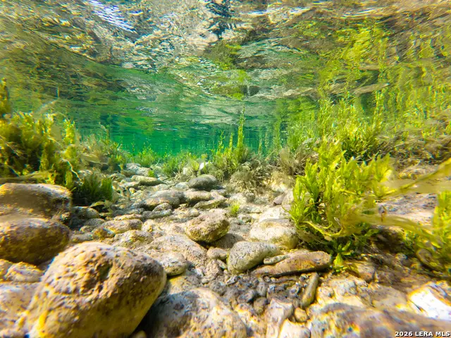 000 Rm 336, Leakey, TX 78873 - #2