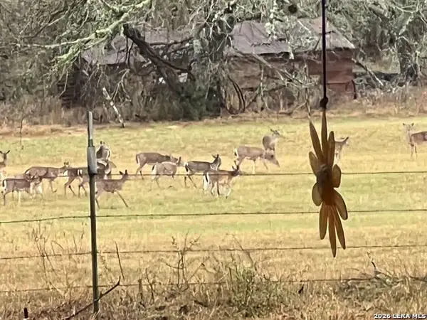 1384 County Road 326, Adkins, TX 78101