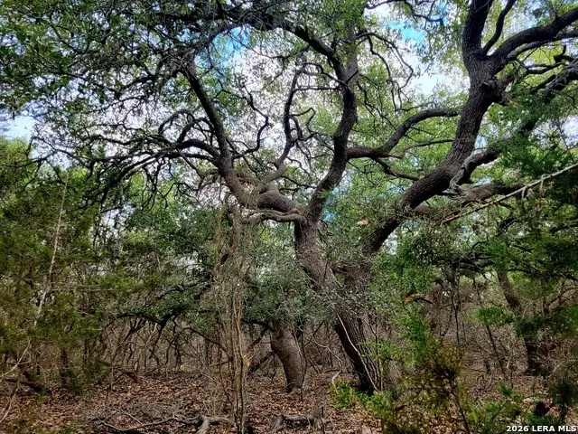 2066 Stallion Springs Dr, Fischer, TX 78623 - #2