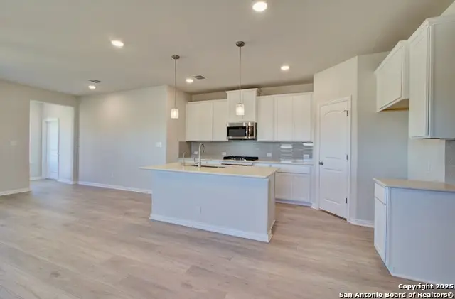 849 Saltbush Street, New Braunfels, TX 78130 - #2