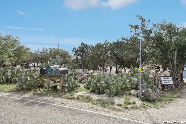 127 Cedar Tree Ln, Canyon Lake, TX 78133 - #2