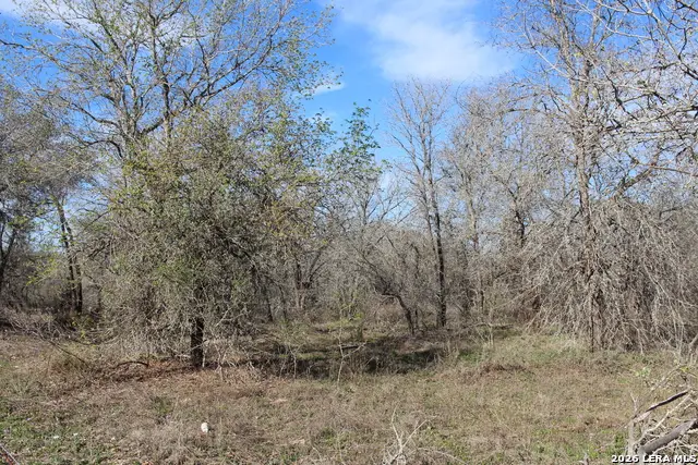 0 TBD Mathis, Elmendorf, TX 78112 - #2
