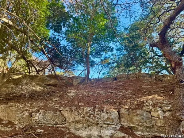 140 Spring Branch, Leakey, TX 78873