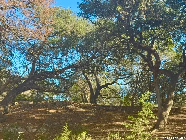 140 Spring Branch, Leakey, TX 78873 - #2