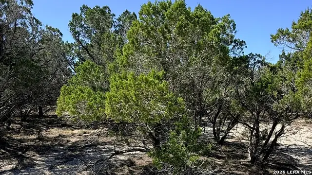 LOT 13 22nd, Lakehills, TX 78063 - #3