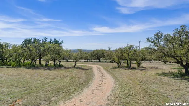 2502 Ranch Road 1323, Johnson City, TX 78636 - #3