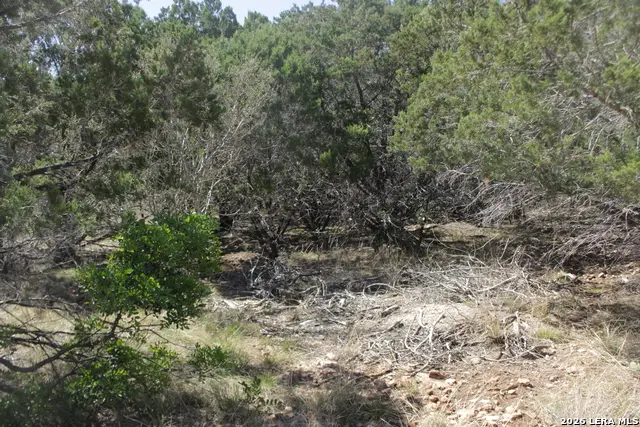 189 Agarita South, Concan, TX 78879 - #3