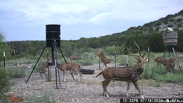 LOT 2 Dusty Rose Ranch East, Rocksprings, TX 78880