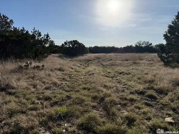 LOT 3D N Laird Rd., Harper, TX 78631