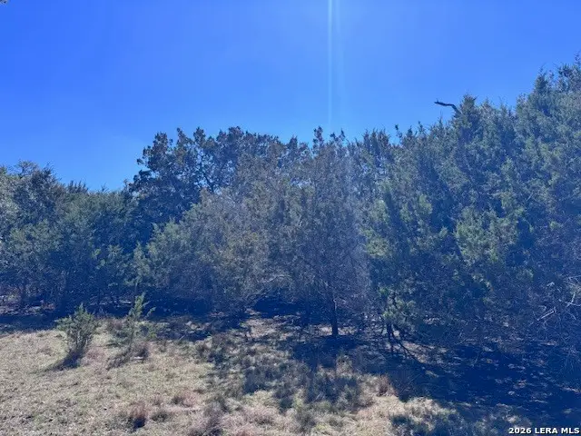 186 Lantana Vista, Spring Branch, TX 78070 - #2