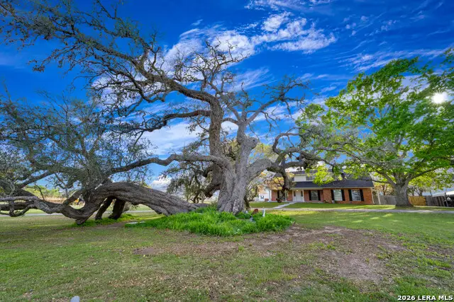 2212 Fm 466, Seguin, TX 78155 - #3