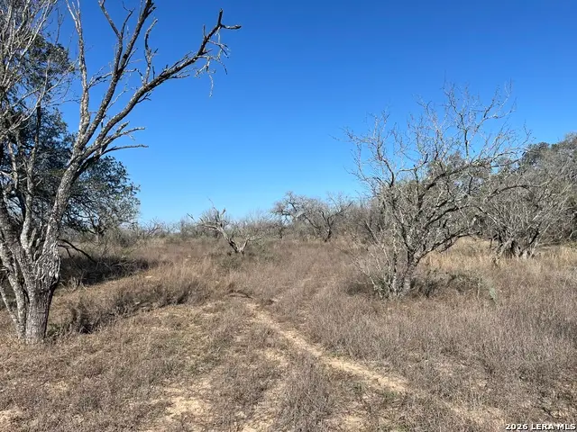 TRACT#8 12.31A County Road 777, Devine, TX 78016 - #2