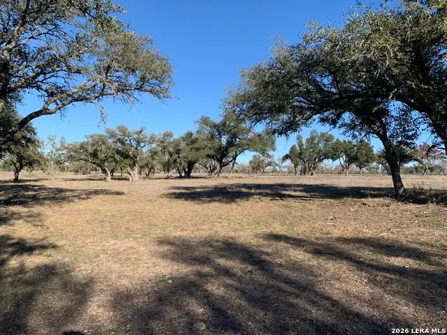 LOT 78 Stock Pond Dr., Harper, TX 78631 - #3