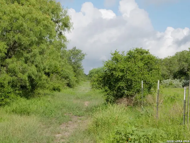 TRACT 8 TBD Cr 208, Hobson, TX 78117 - #3