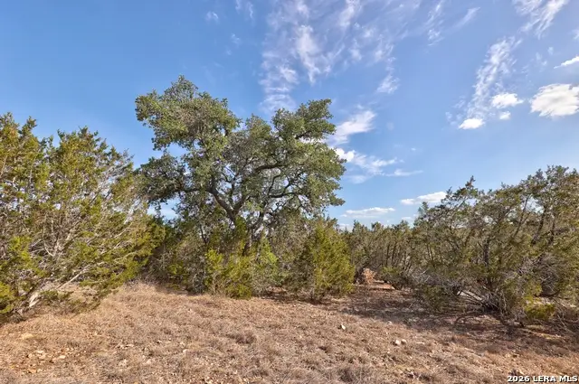 0 Yellowstone Lnsw, Hunt, TX 78024 - #2