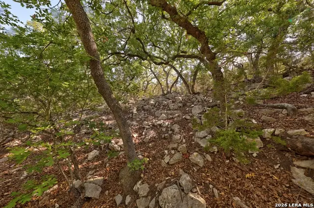 0 Yellowstone Lnsw, Hunt, TX 78024 - #3