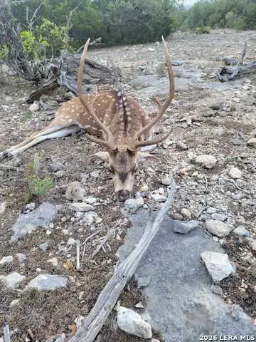 752 Sd 46061, Rocksprings, TX 78880 - #2