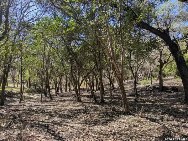 19612 Greenhill, Grey Forest, TX 78023