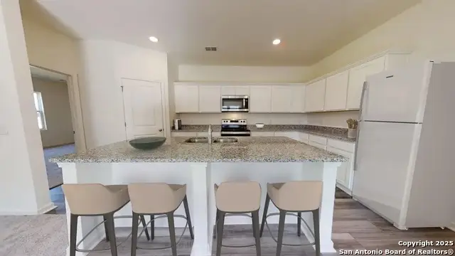 10133 Pine River Drive, Schertz, TX 78154 - #2