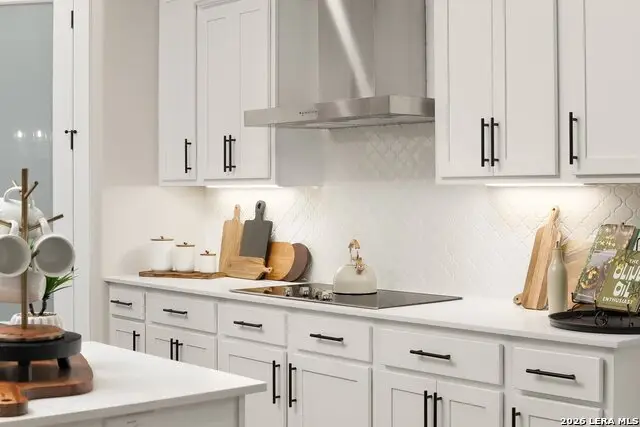 157 Nordlinger Court, Mico, TX 78056 - #3