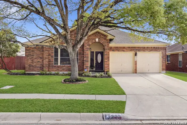 229 Notch Leaf, Cibolo, TX 78108 - #2
